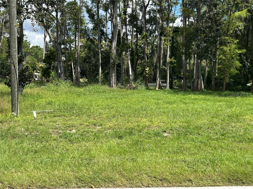 12629 Lacey Drive New Port Richey FL 34654 TB8426119 image2