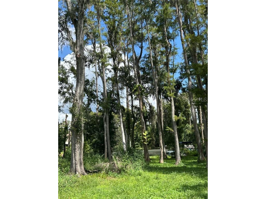 12629 Lacey Drive New Port Richey FL 34654 TB8426119 image3