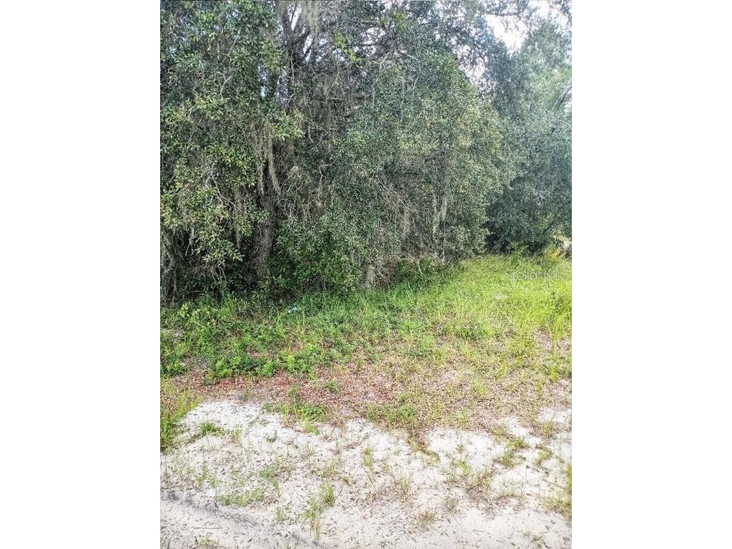 1263 Baltic Drive Poinciana FL 34759 S5098211 image1