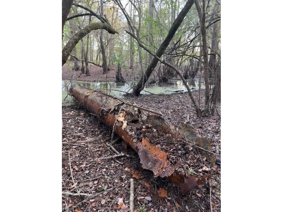 1263 NW 82nd Terrace Bell FL 32619 O6156588 image13