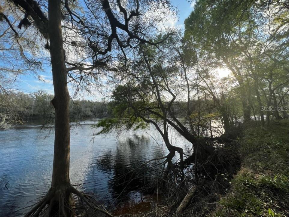 1263 NW 82nd Terrace Bell FL 32619 O6156588 image2