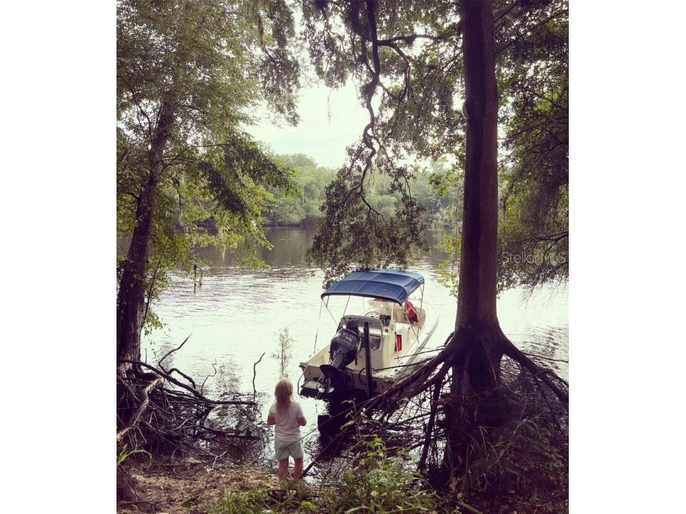 1263 NW 82nd Terrace Bell FL 32619 O6156588 image4