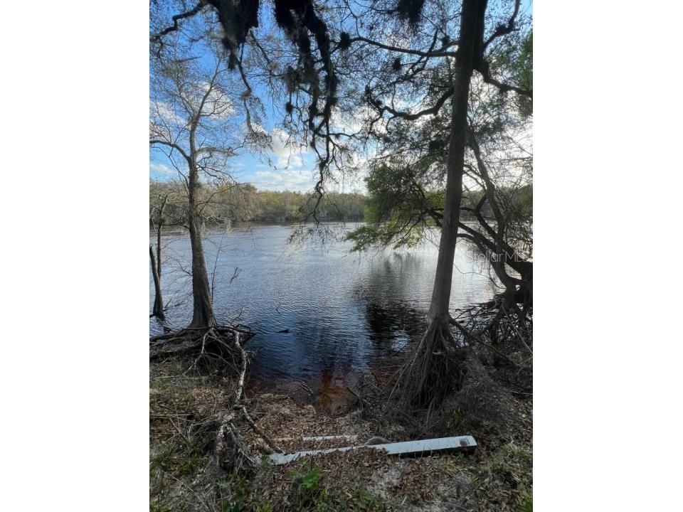 1263 NW 82nd Terrace Bell FL 32619 O6156588 image5