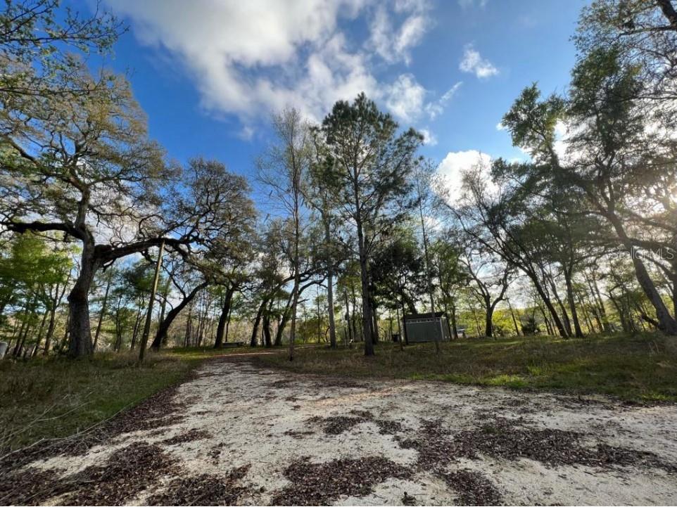 1263 NW 82nd Terrace Bell FL 32619 O6156588 image6