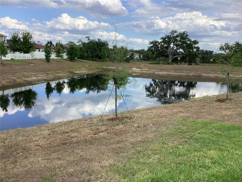 12630 Aston Drive Hudson FL 34669 W7875023 image13