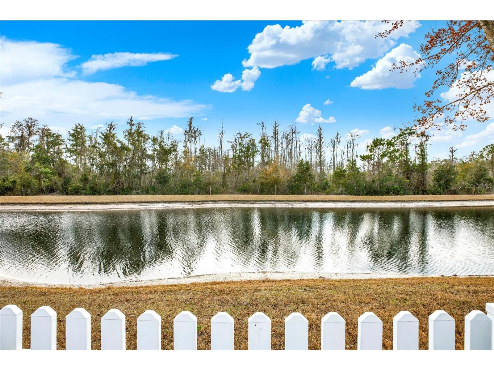 12631 Chenwood Avenue Hudson FL 34669 TB8472983 image30