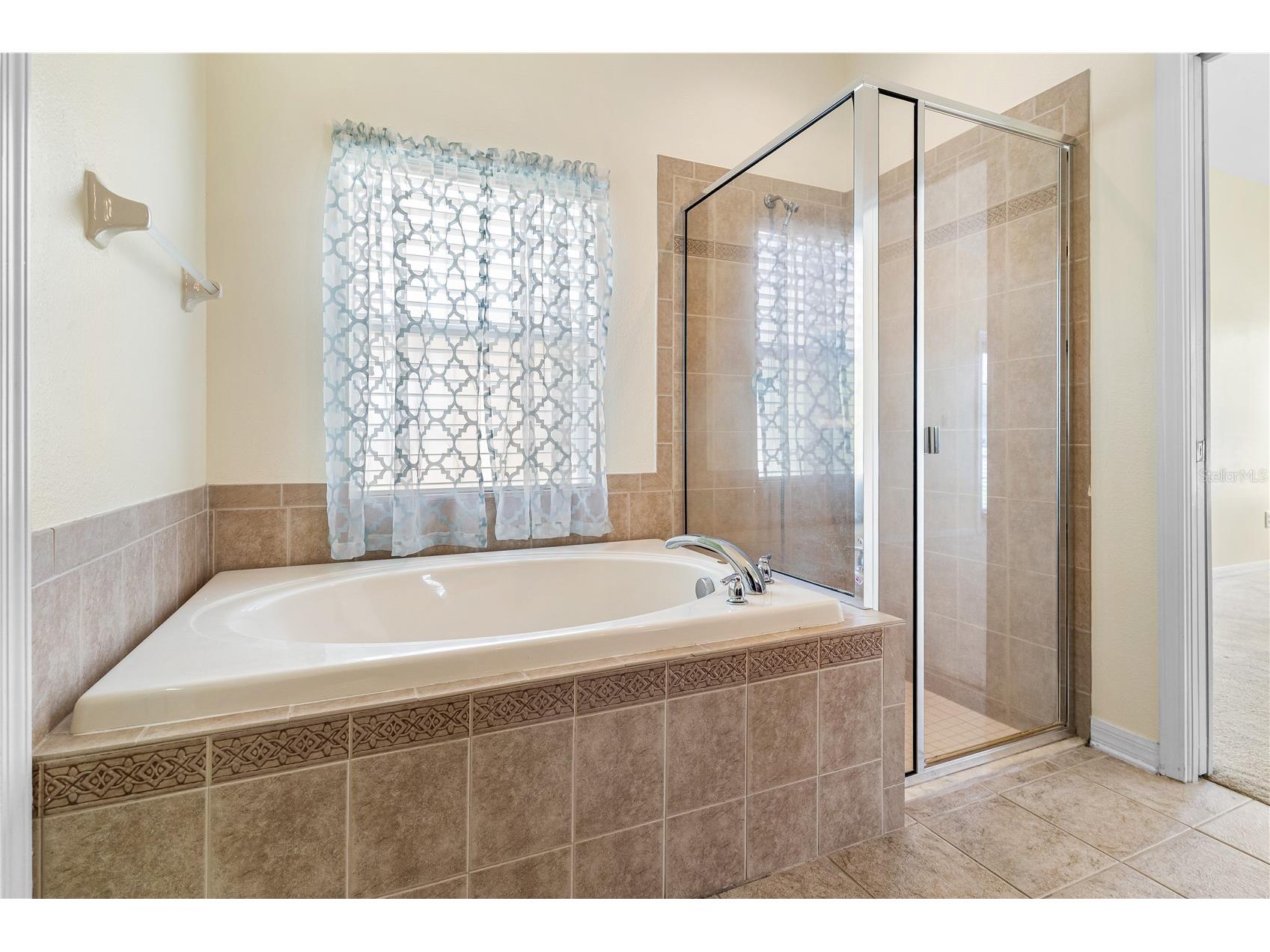 12631 Chenwood Avenue Hudson FL 34669 TB8499927 image24