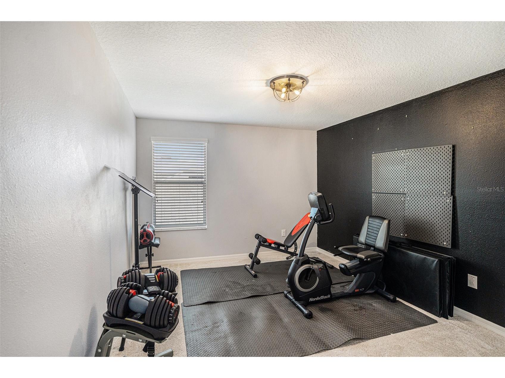 12631 Flatwood Creek Drive Gibsonton FL 33534 TB8465493 image18