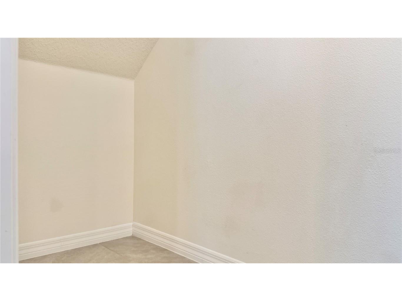 12632 Charmed Drive Winter Garden FL 34787 O6364273 image9