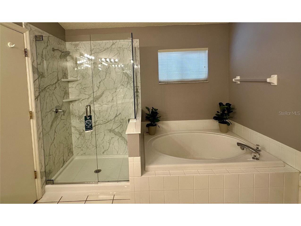 12633 Early Run Lane Riverview FL 33578 TB8420871 image12