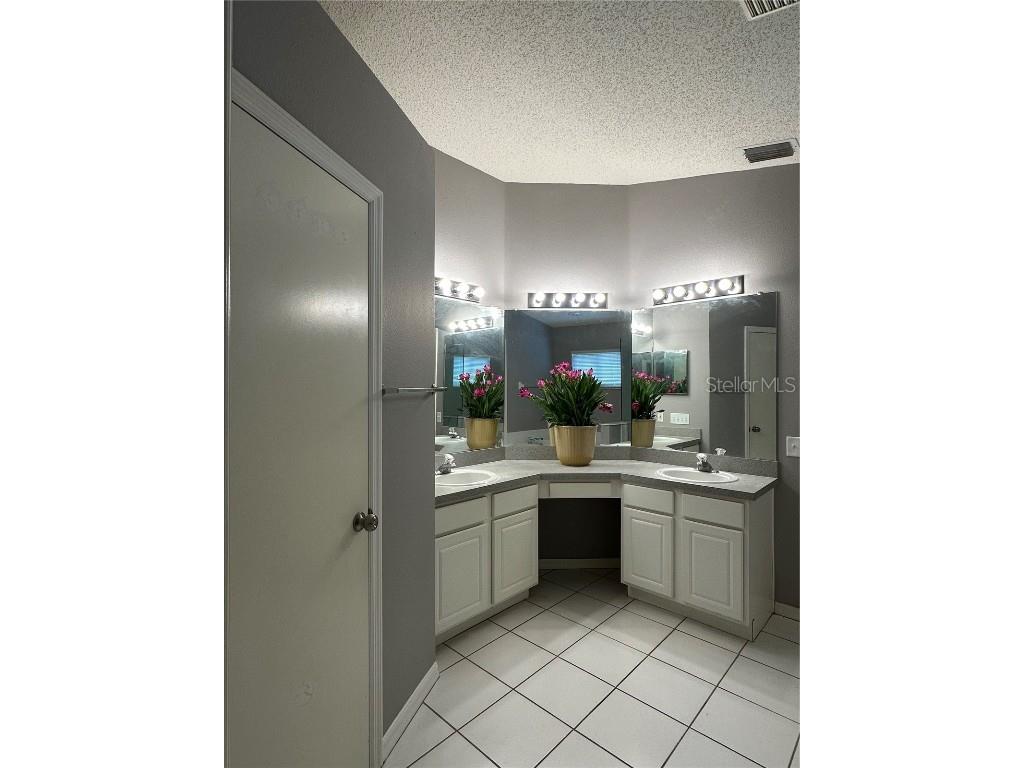 12633 Early Run Lane Riverview FL 33578 TB8420871 image13