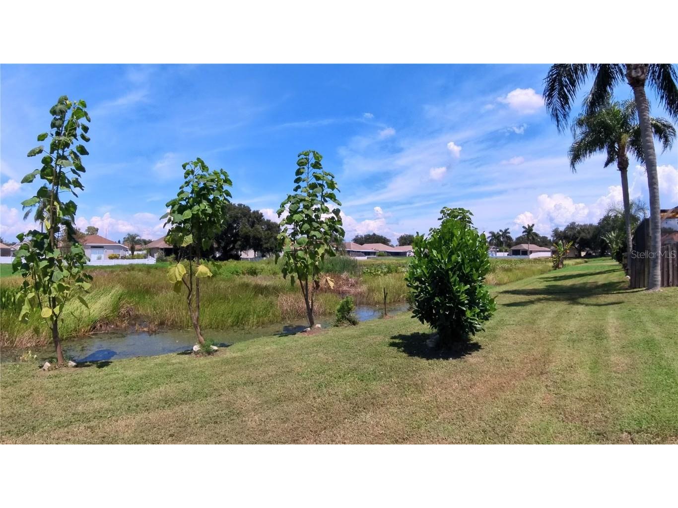 12633 Early Run Lane Riverview FL 33578 TB8420871 image26