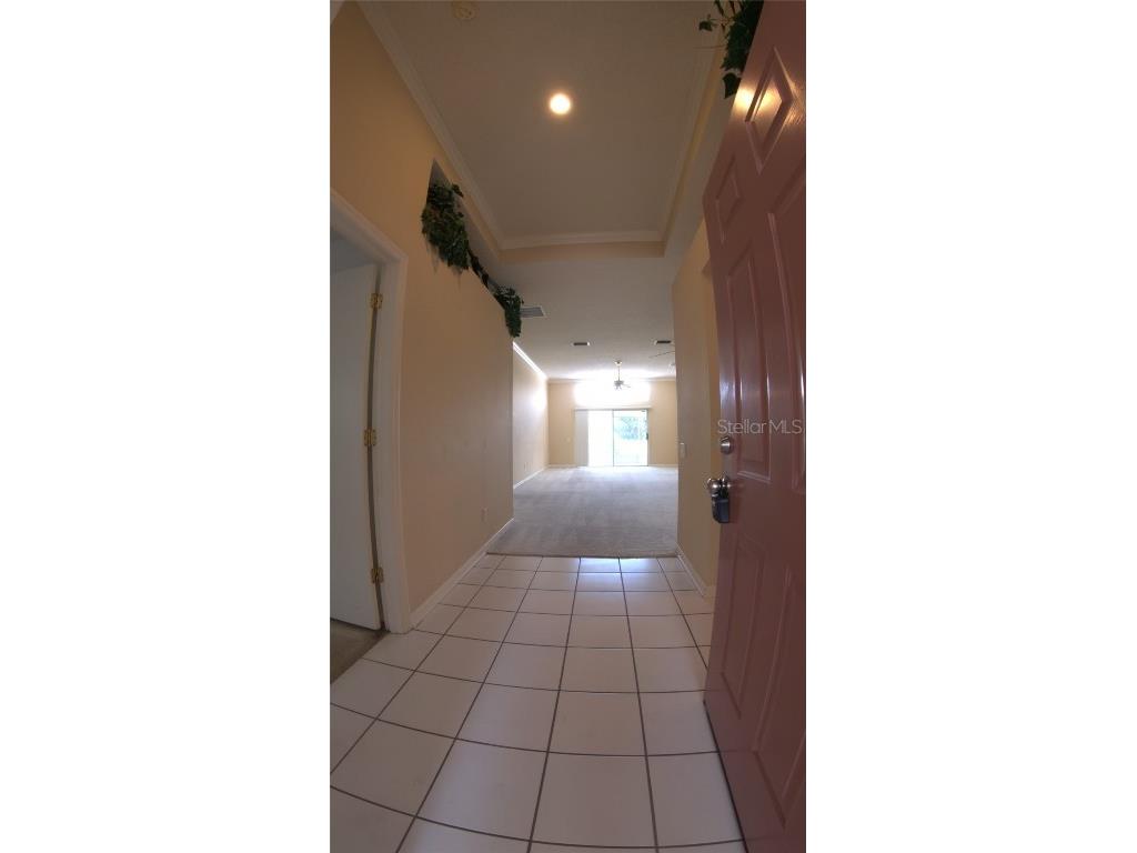 12633 Early Run Lane Riverview FL 33578 TB8420871 image4