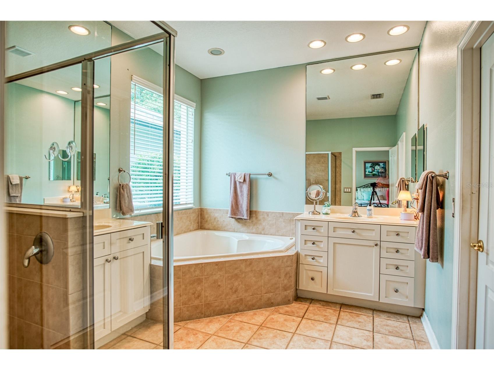 12633 Haddon Drive Windermere FL 34786 O6411199 image27