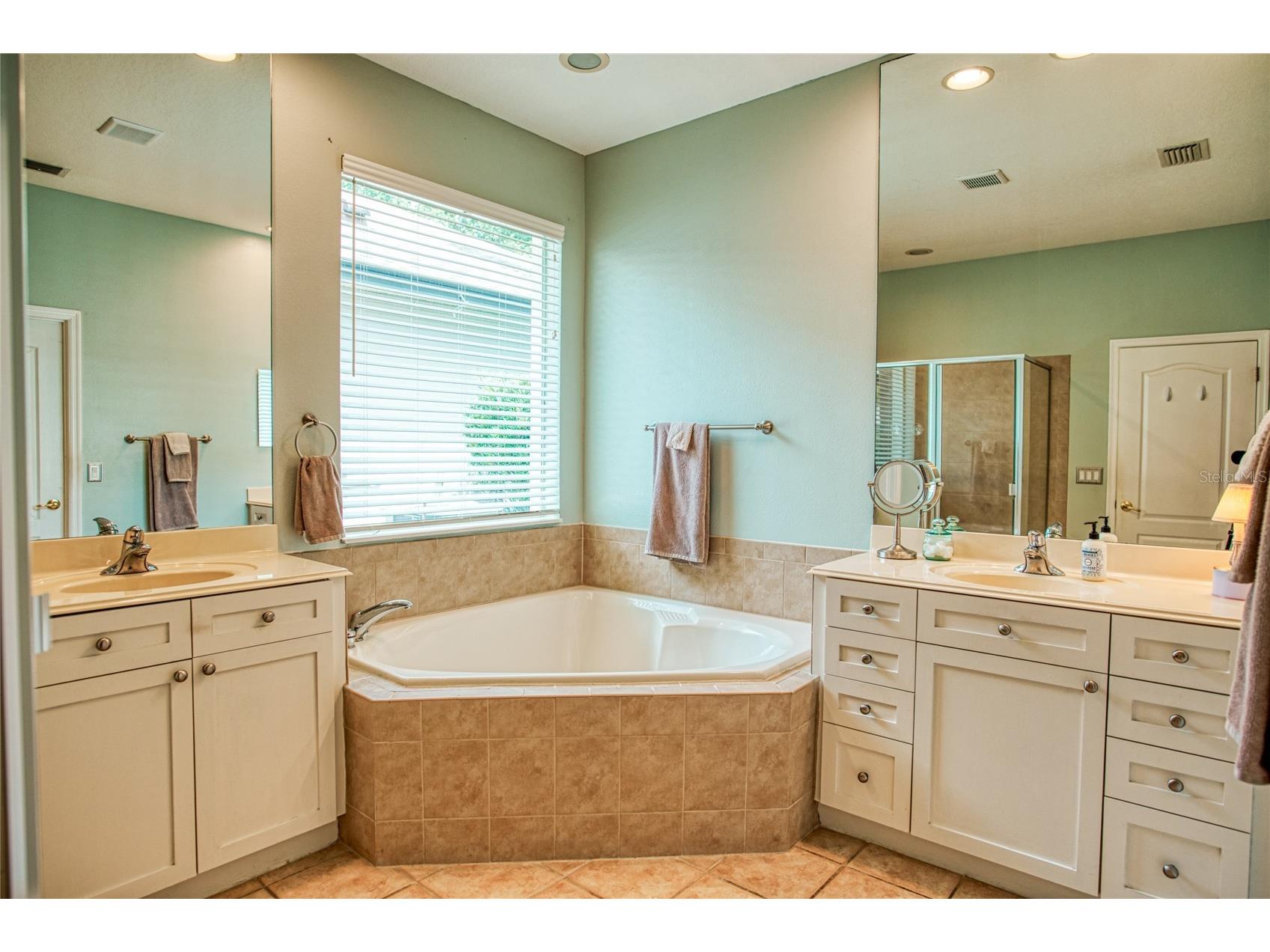 12633 Haddon Drive Windermere FL 34786 O6411199 image28