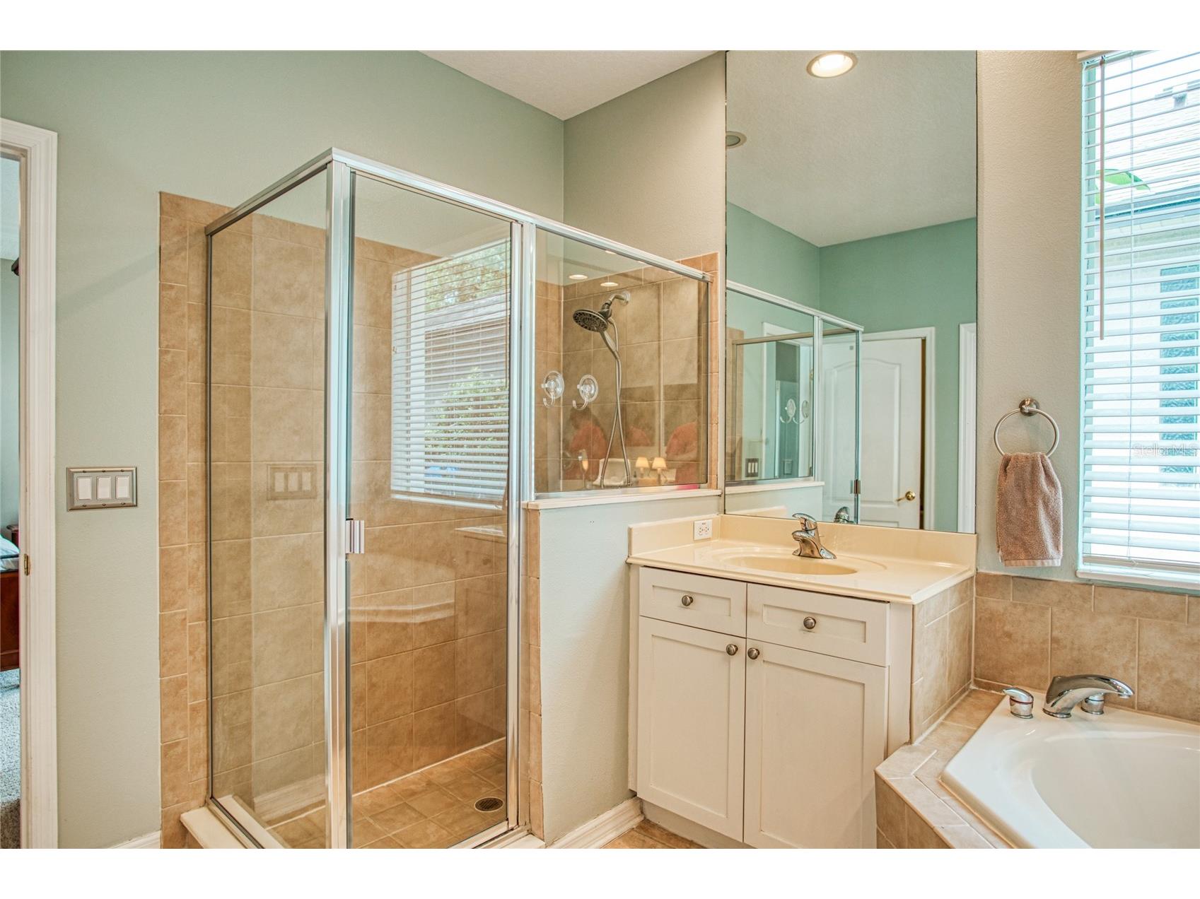 12633 Haddon Drive Windermere FL 34786 O6411199 image29