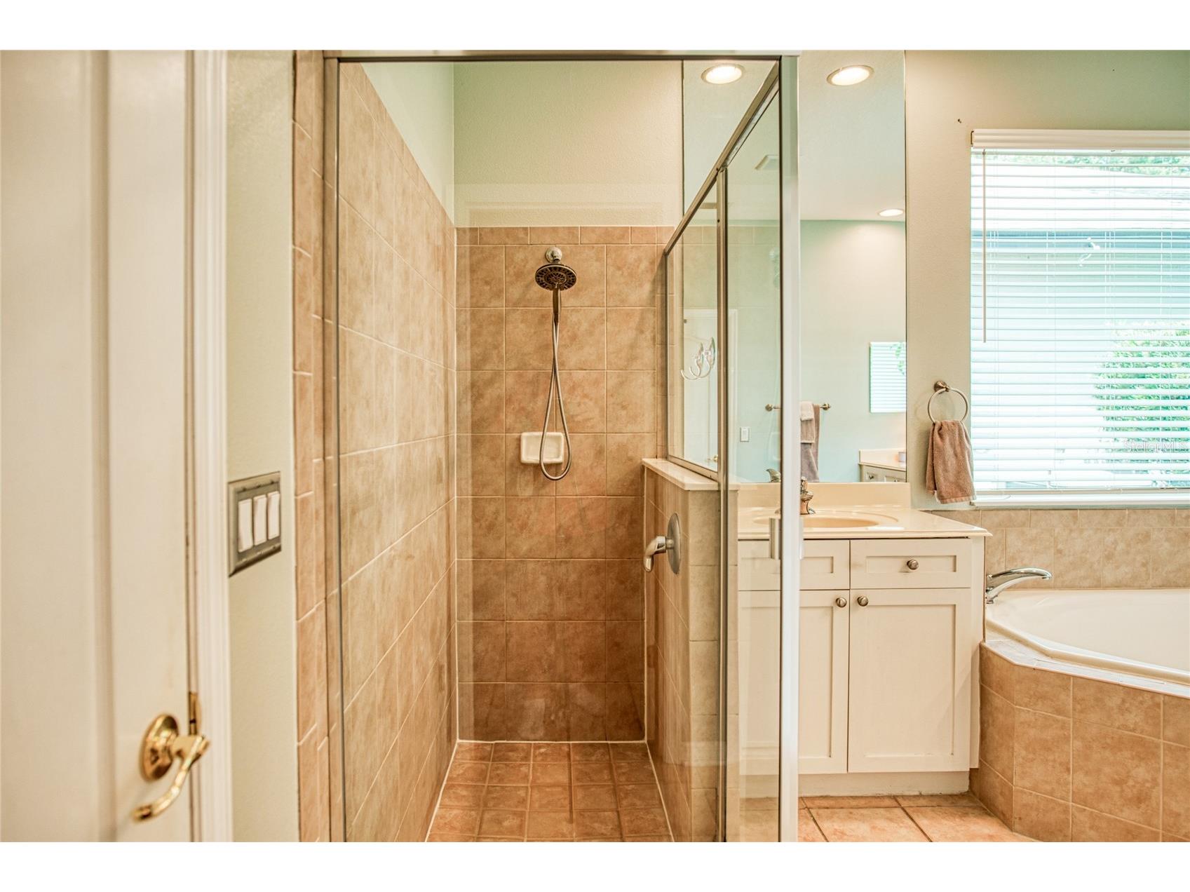 12633 Haddon Drive Windermere FL 34786 O6411199 image30