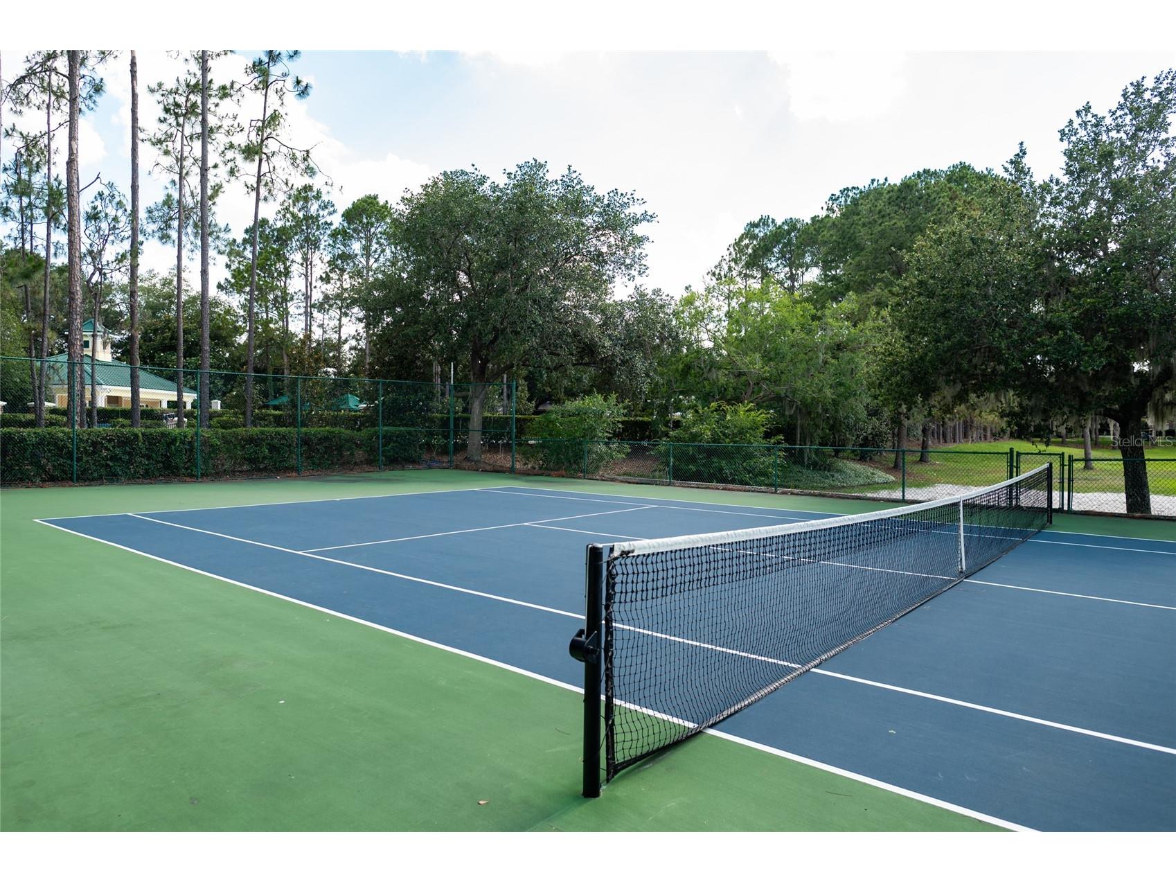 12633 Haddon Drive Windermere FL 34786 O6411199 image47