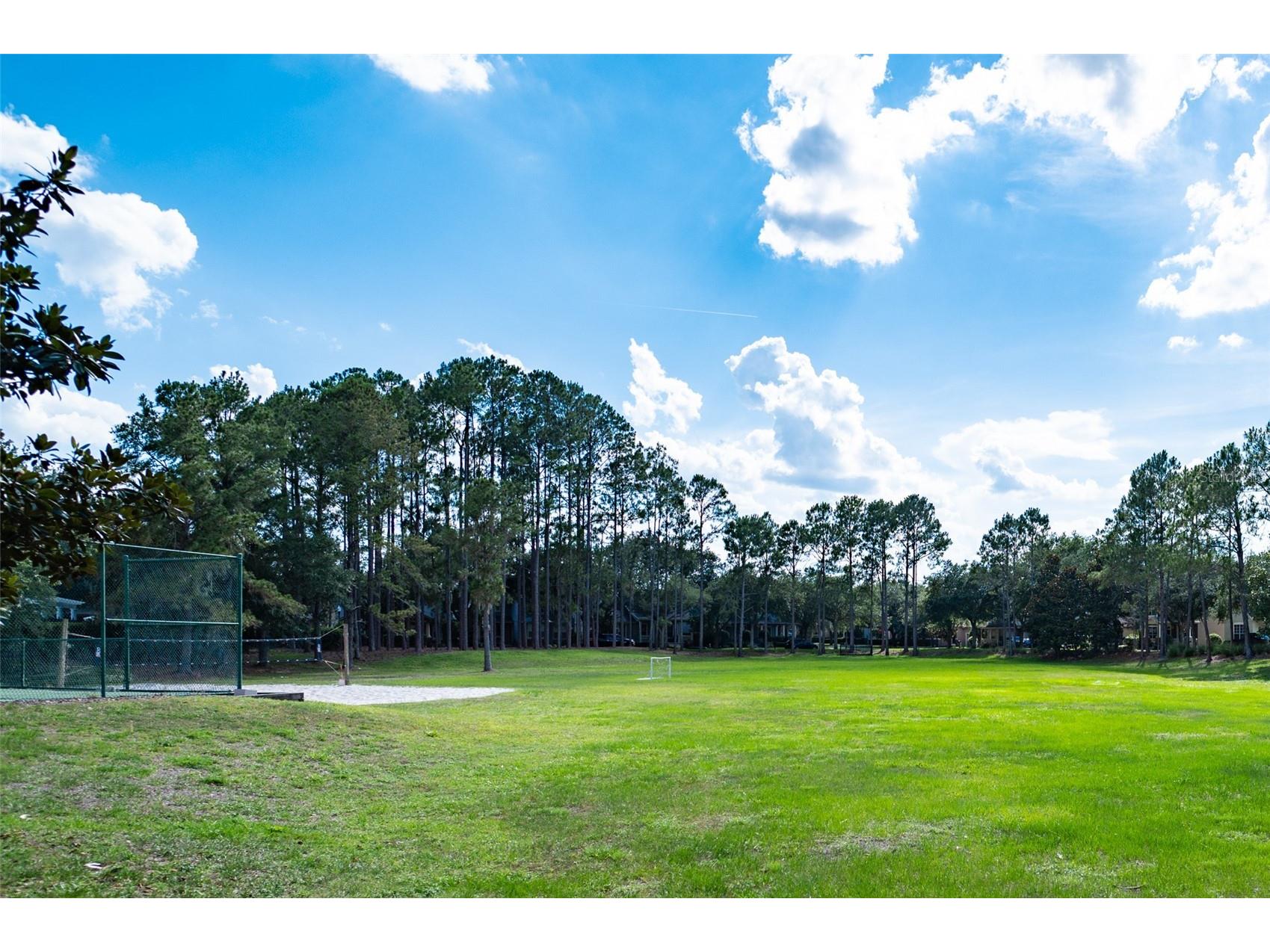 12633 Haddon Drive Windermere FL 34786 O6411199 image48