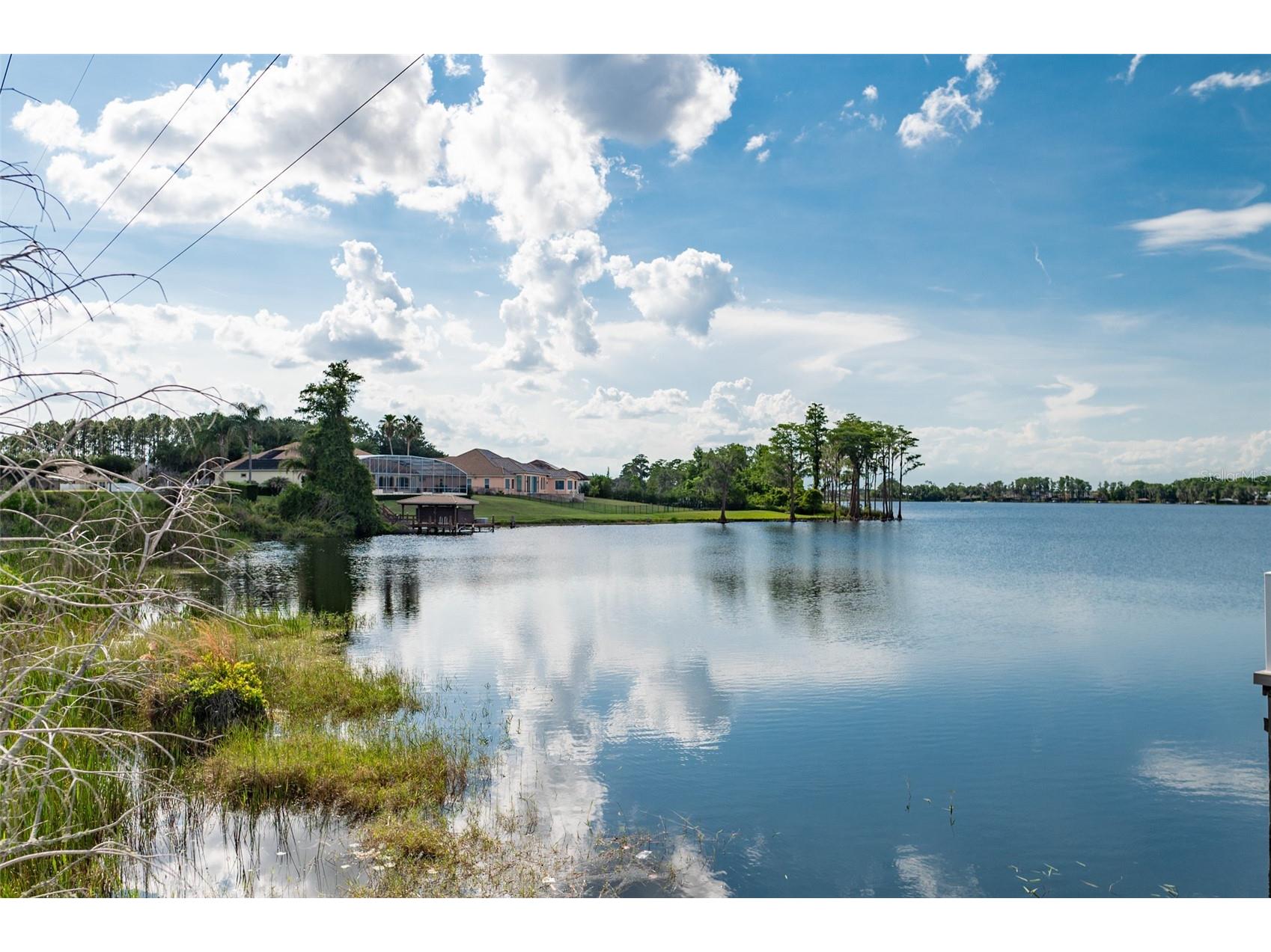 12633 Haddon Drive Windermere FL 34786 O6411199 image49