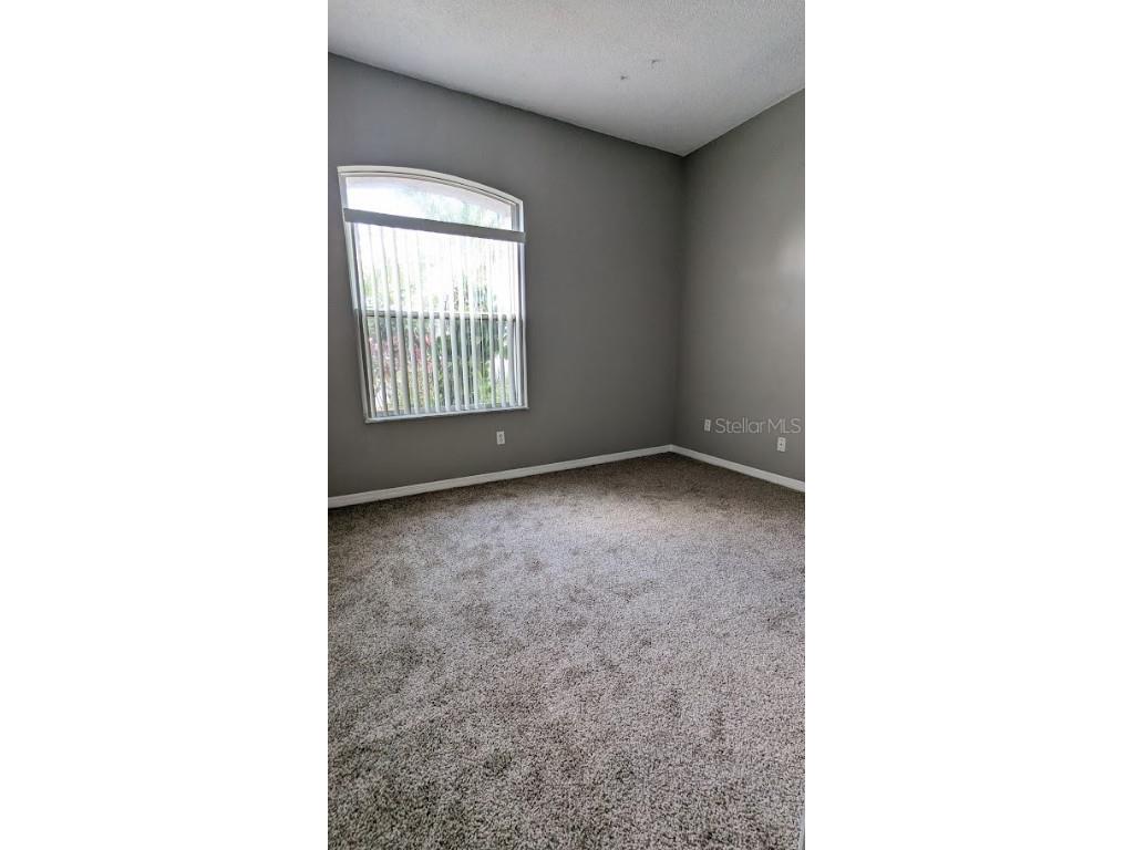 12634 Ringwood Avenue Orlando FL 32837 O6369598 image18