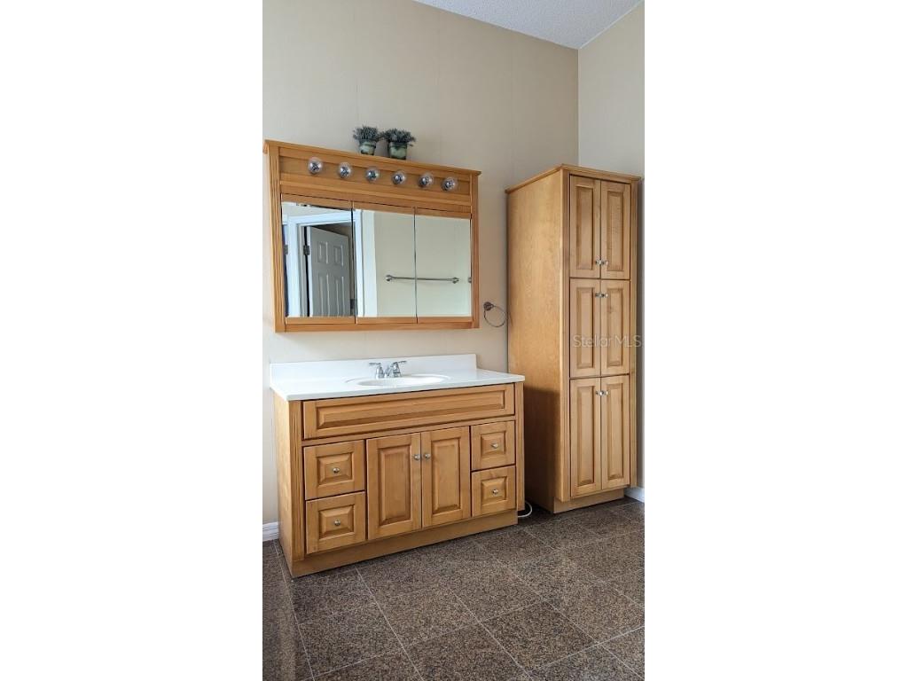 12634 Ringwood Avenue Orlando FL 32837 O6369598 image32