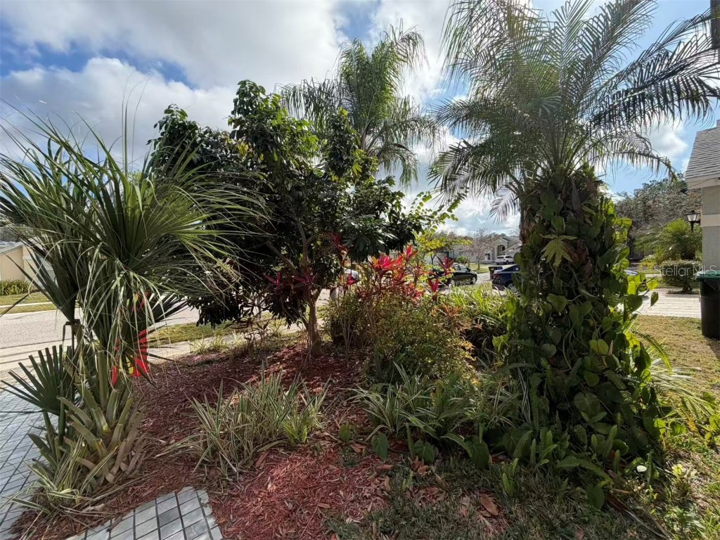 12634 Ringwood Avenue Orlando FL 32837 O6369598 image5