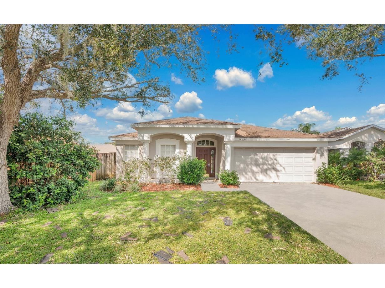 12635 Early Run Lane Riverview FL 33578 O6244633 image1