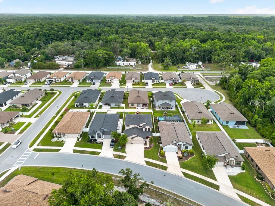 12636 Sourwood Way New Port Richey FL 34654 TB8512313 image46
