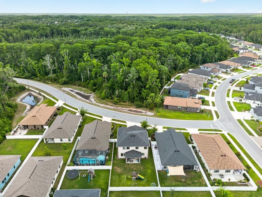 12636 Sourwood Way New Port Richey FL 34654 TB8512313 image48