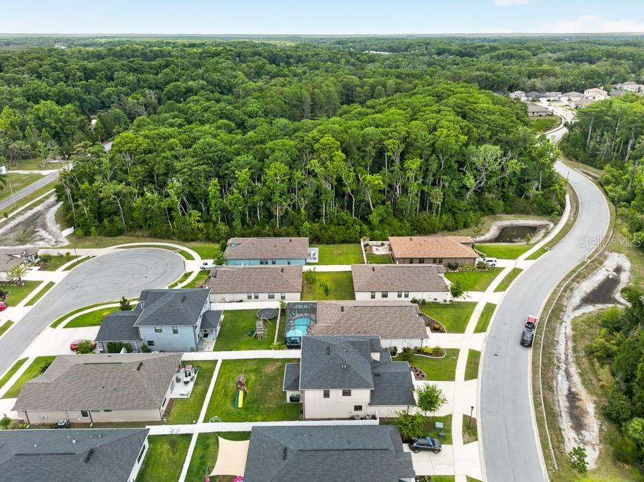 12636 Sourwood Way New Port Richey FL 34654 TB8512313 image49