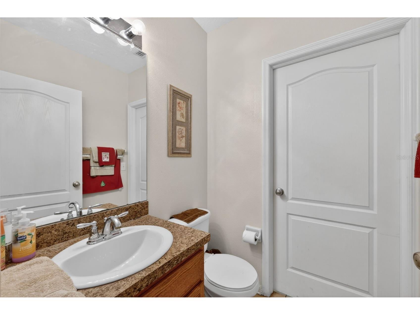 12637 Belcroft Drive Riverview FL 33579 TB8472971 image26