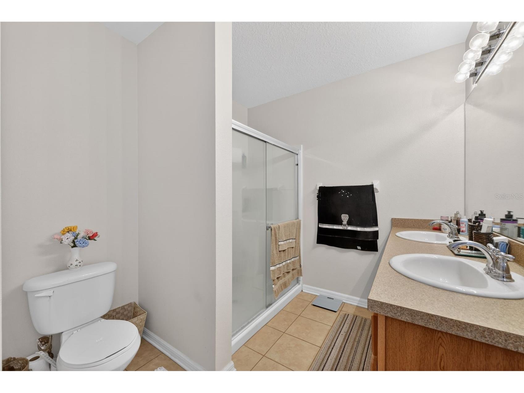 12637 Belcroft Drive Riverview FL 33579 TB8472971 image31