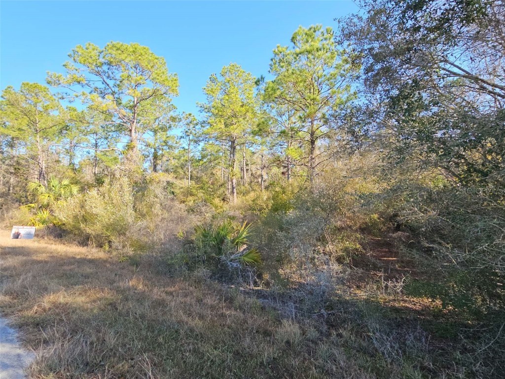 12639 W Checkerberry Drive Crystal River FL 34428 OM695772 image1