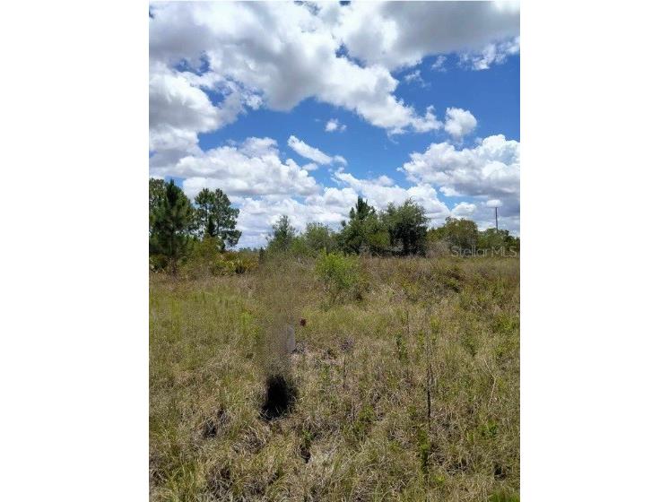 1264 S Mccoy Road Avon Park FL 33825 TB8426450 image3