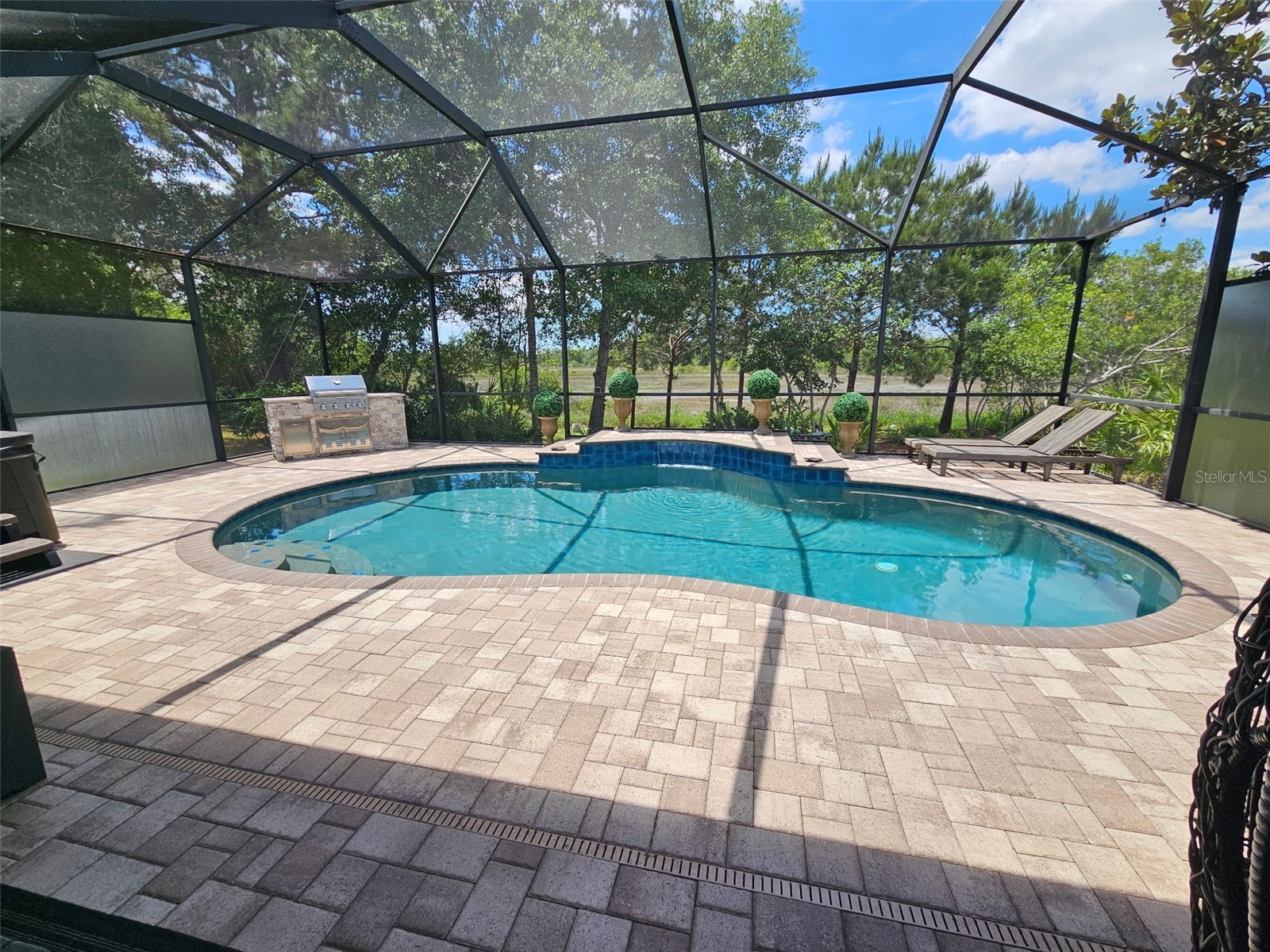 12641 Drakefield Drive Spring Hill FL 34610 W7885451 image38