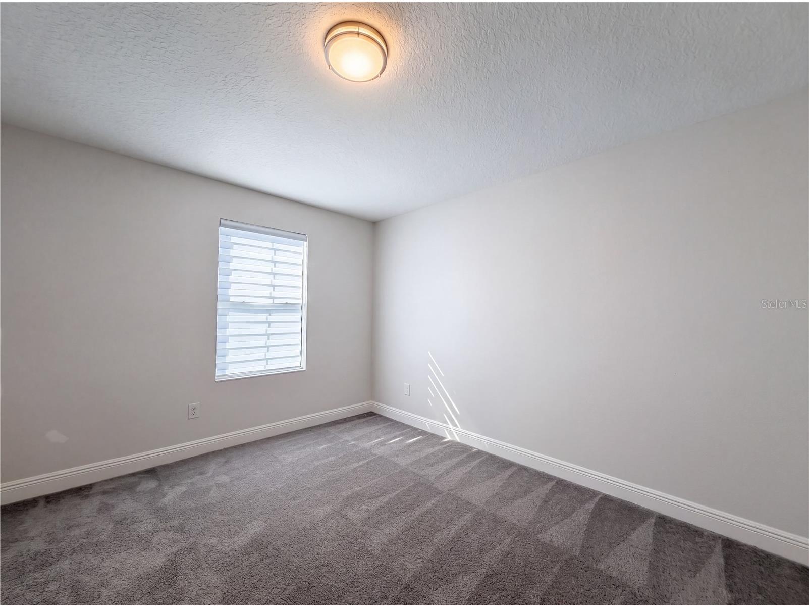 12643 Horseshoe Bend Drive Lithia FL 33547 O6403309 image20