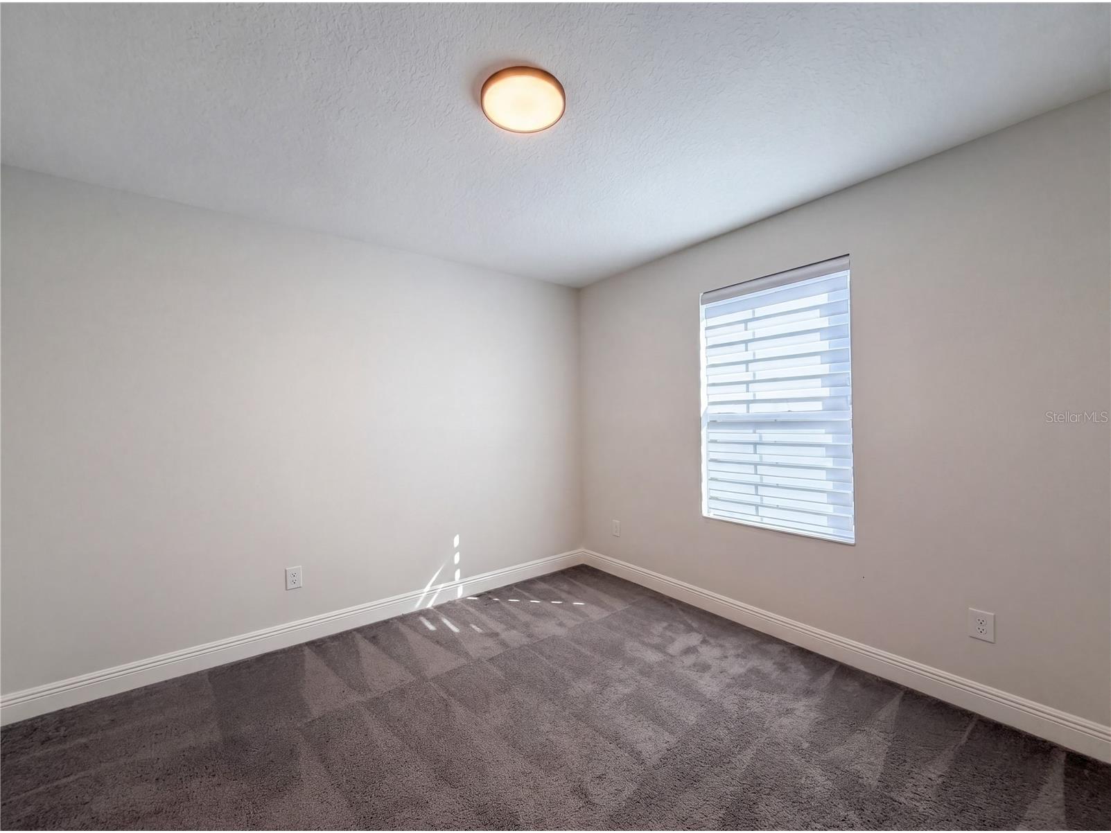 12643 Horseshoe Bend Drive Lithia FL 33547 O6403309 image27