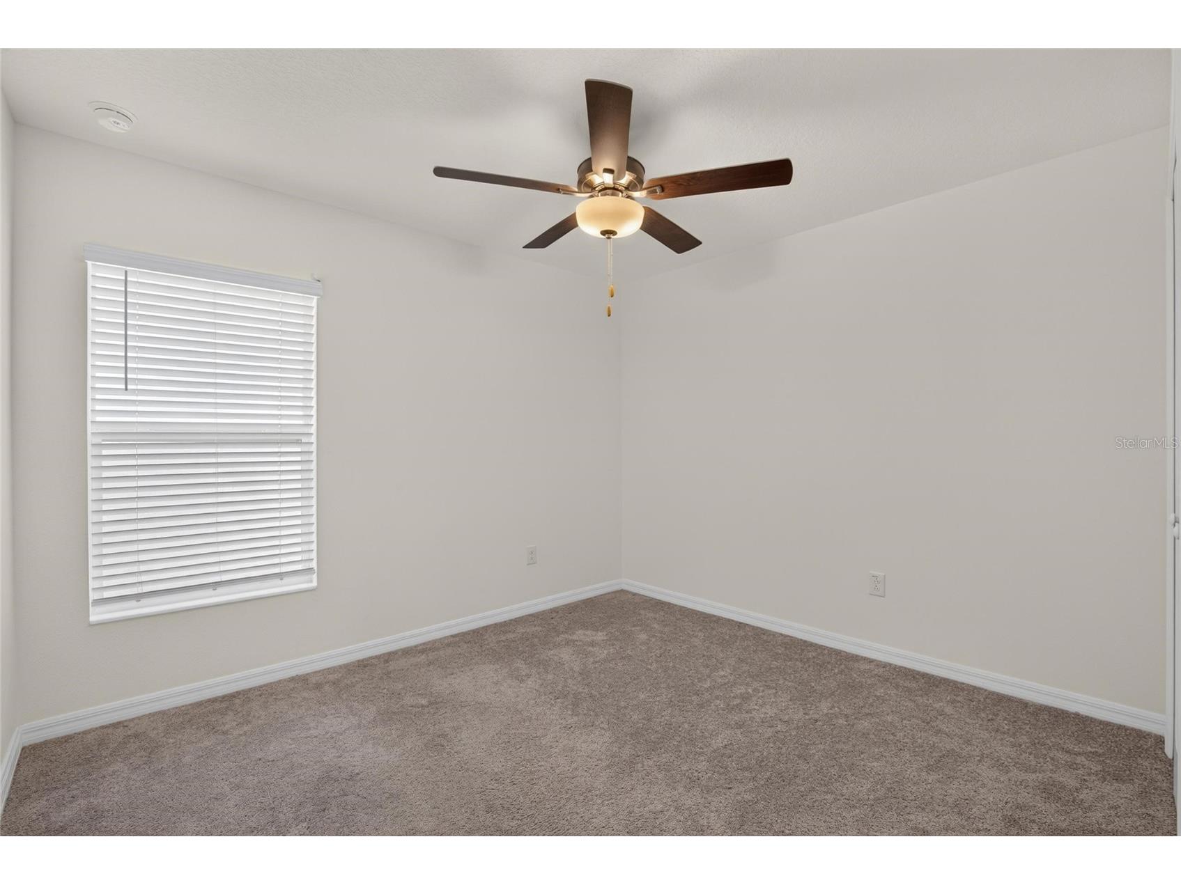 12643 Maple Bonsai Drive Riverview FL 33579 TB8521514 image25