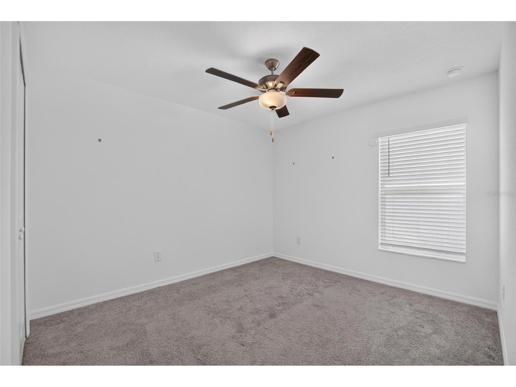 12643 Maple Bonsai Drive Riverview FL 33579 TB8521514 image32