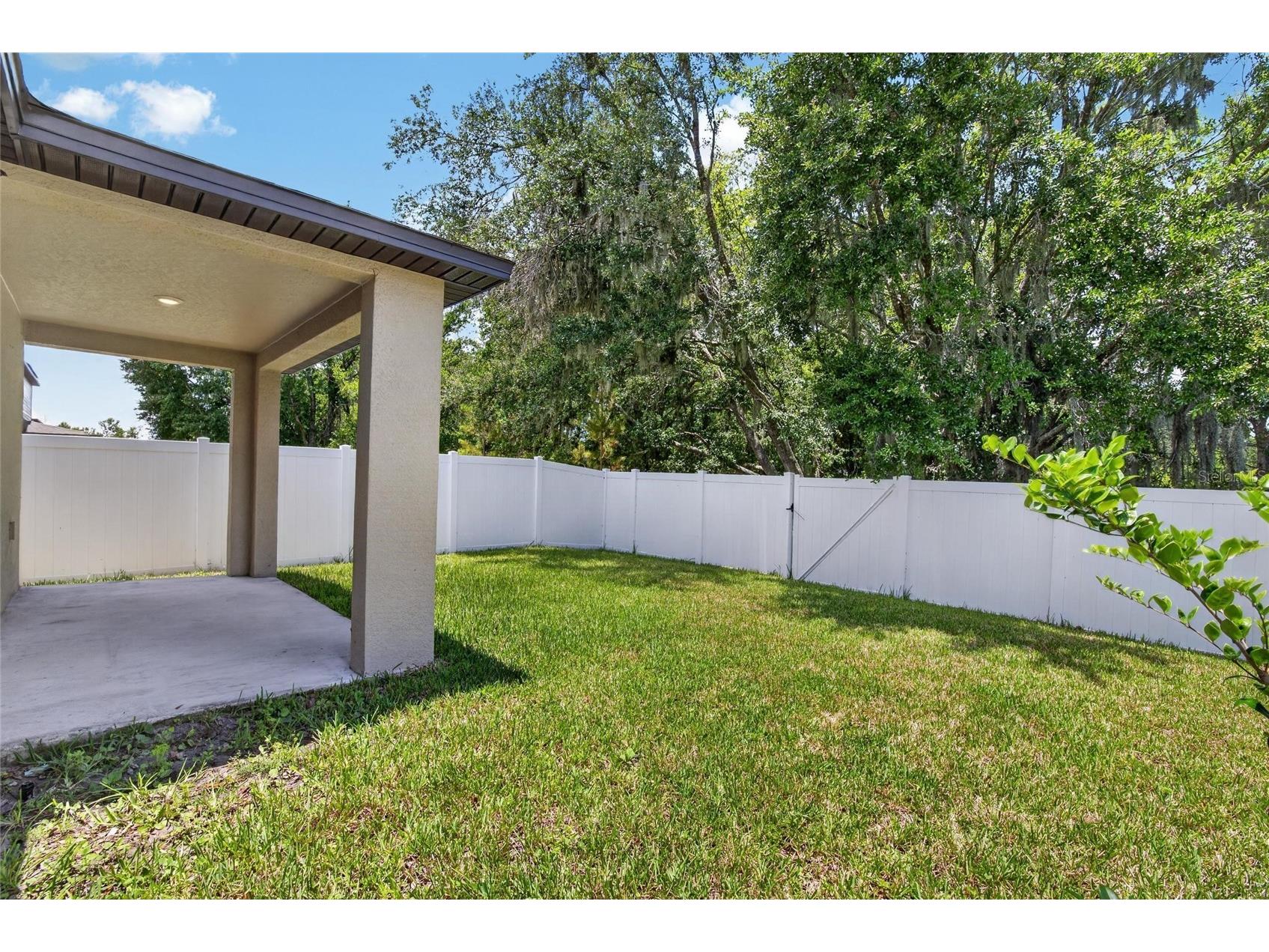 12643 Maple Bonsai Drive Riverview FL 33579 TB8521514 image46