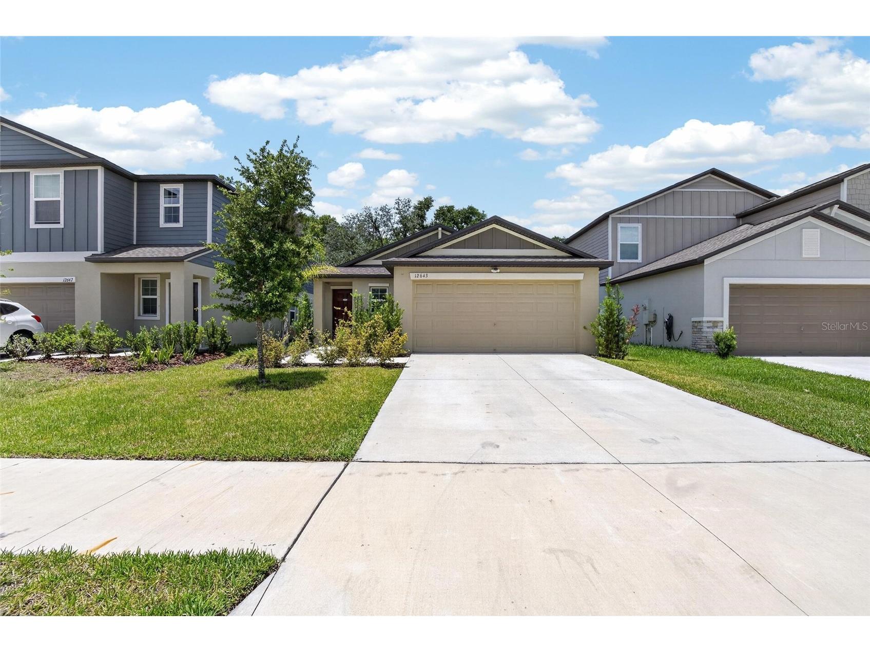 12643 Maple Bonsai Drive Riverview FL 33579 TB8521514 image6