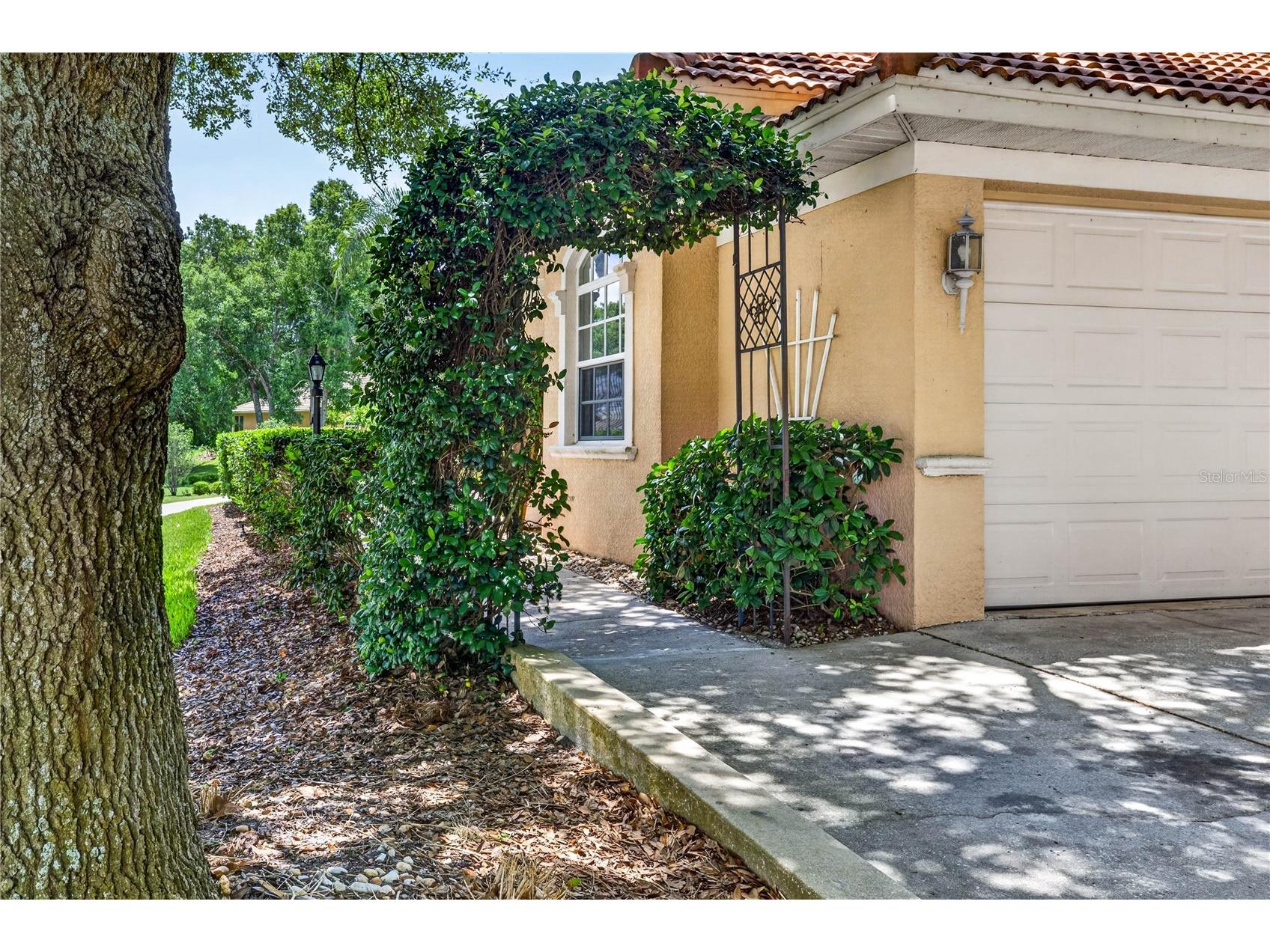 12643 Oak Hollow Court Dade City FL 33525 TB8510851 image4