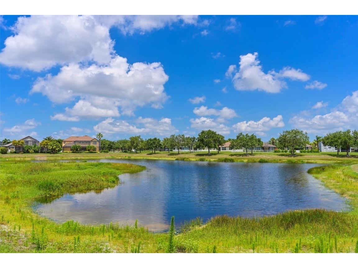 12644 20th Street E Parrish FL 34219 A4653357 image40