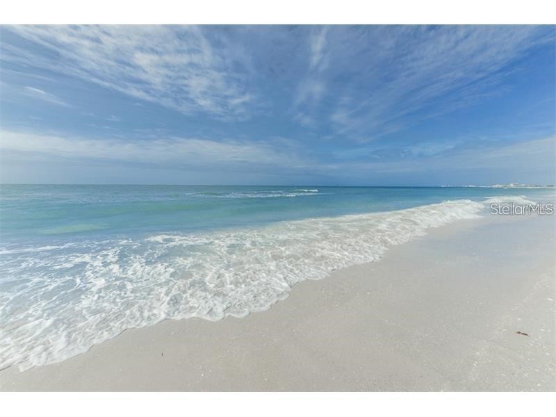 12644 81st Terrace Seminole FL 33776 TB8497937 image38