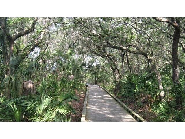 12644 81st Terrace Seminole FL 33776 TB8497937 image41