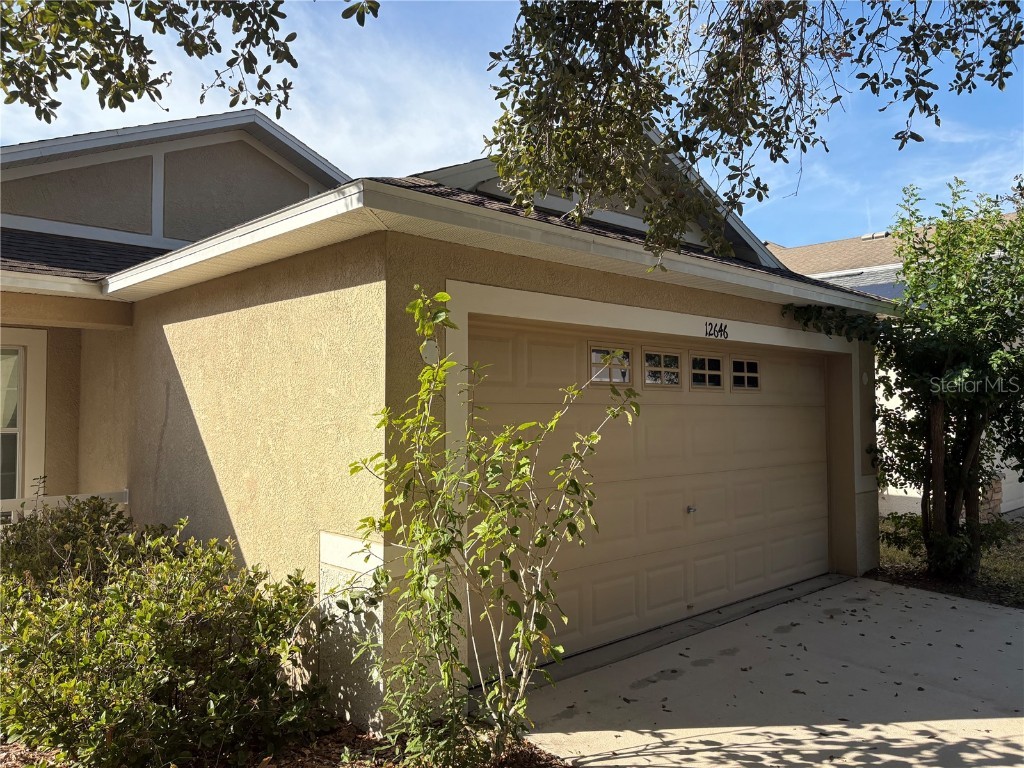 12646 Belcroft Dr Riverview FL 33579 TB8447286 image2