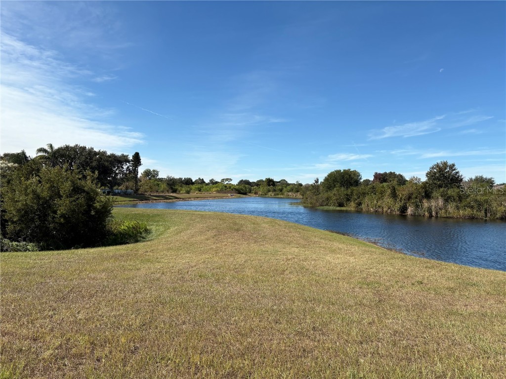 12646 Belcroft Dr Riverview FL 33579 TB8447286 image31