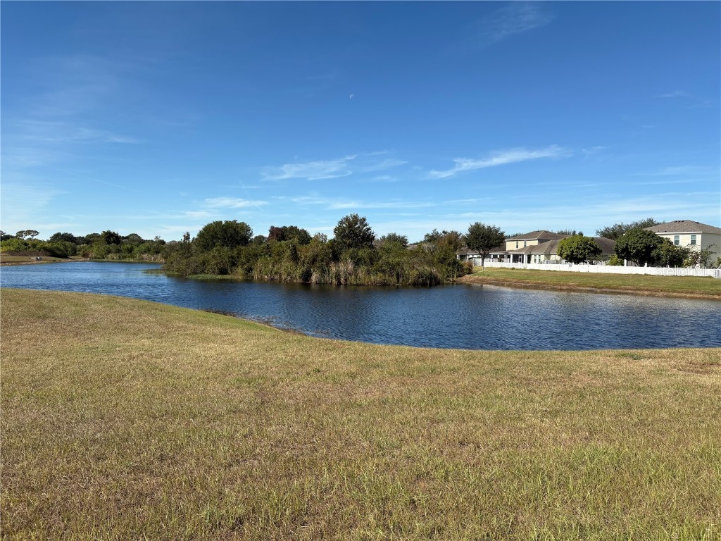 12646 Belcroft Dr Riverview FL 33579 TB8447286 image32