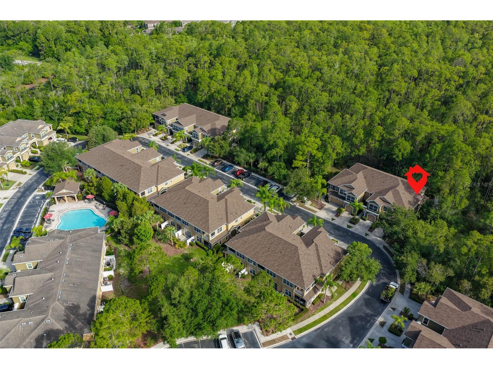 12646 Silverdale Street Tampa FL 33626 TB8517285 image2